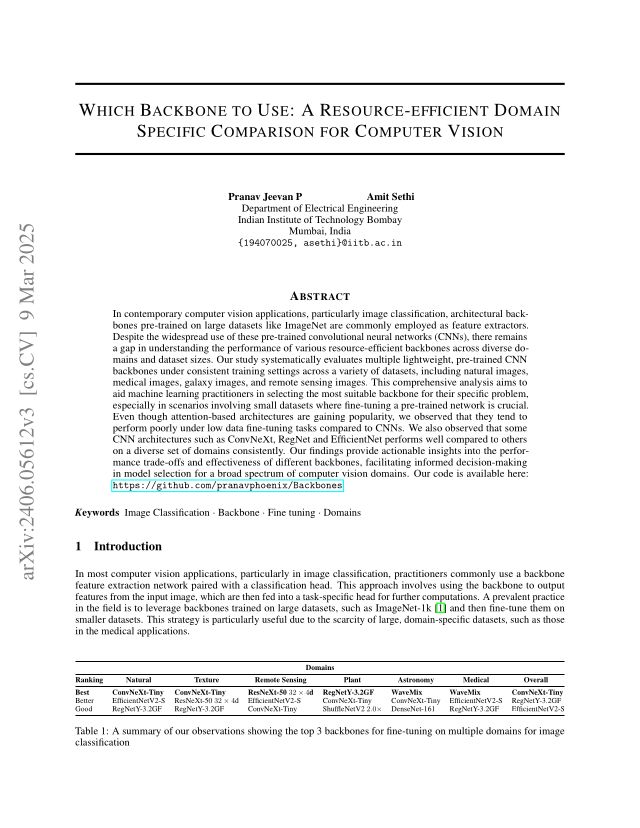 Which Backbone to Use: A Resource-efficient Domain Specific Comparison for Computer Vision