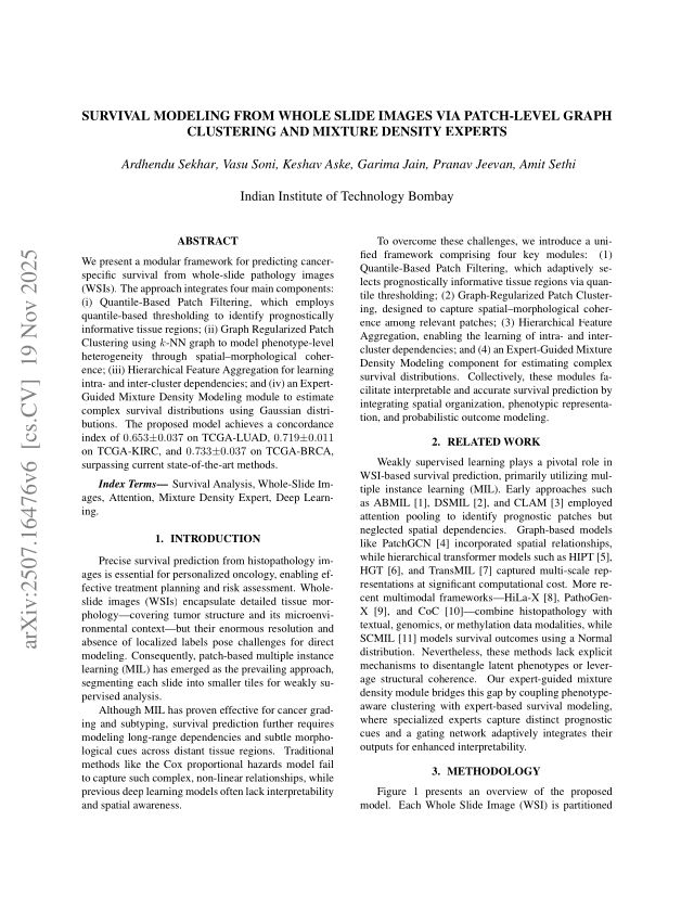 Survival Modeling from Whole Slide Images via Patch-Level Graph Clustering and Mixture Density Experts